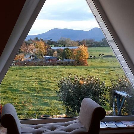 Annaswood B&B Cahir Eksteriør bilde