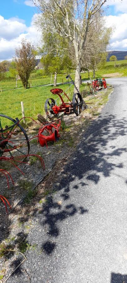 Annaswood B&B Cahir Eksteriør bilde