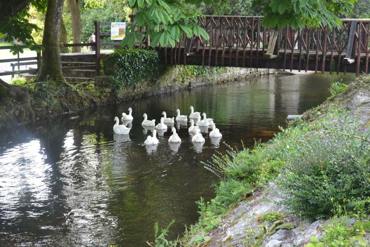 Annaswood B&B Cahir Eksteriør bilde
